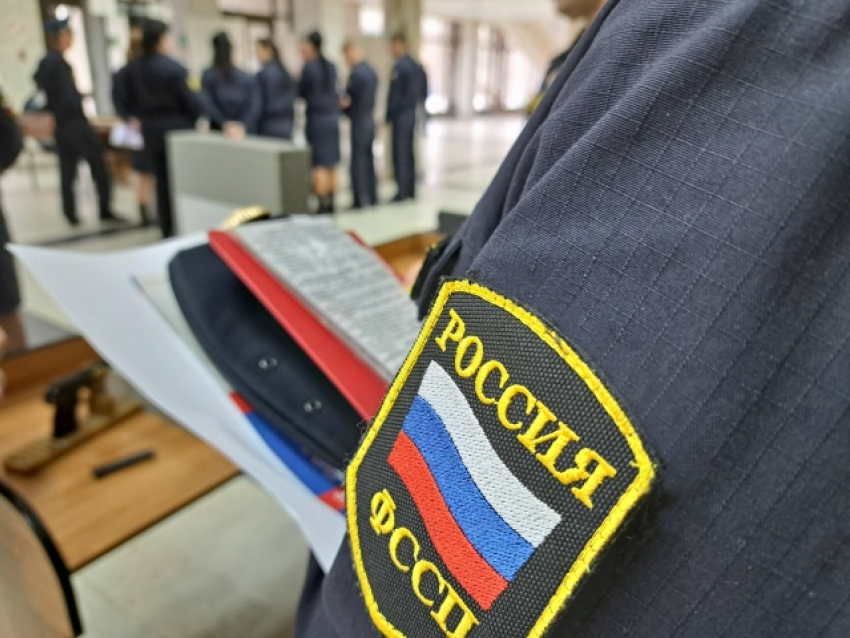 Почему в Камышине судебные приставы передали детей под опеку государства при живой матери