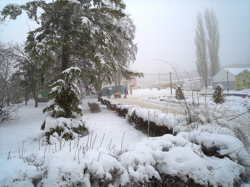 Крепкие морозы «сообщили", что они никуда не ушли из Камышина: погодная повестка на 10 февраля