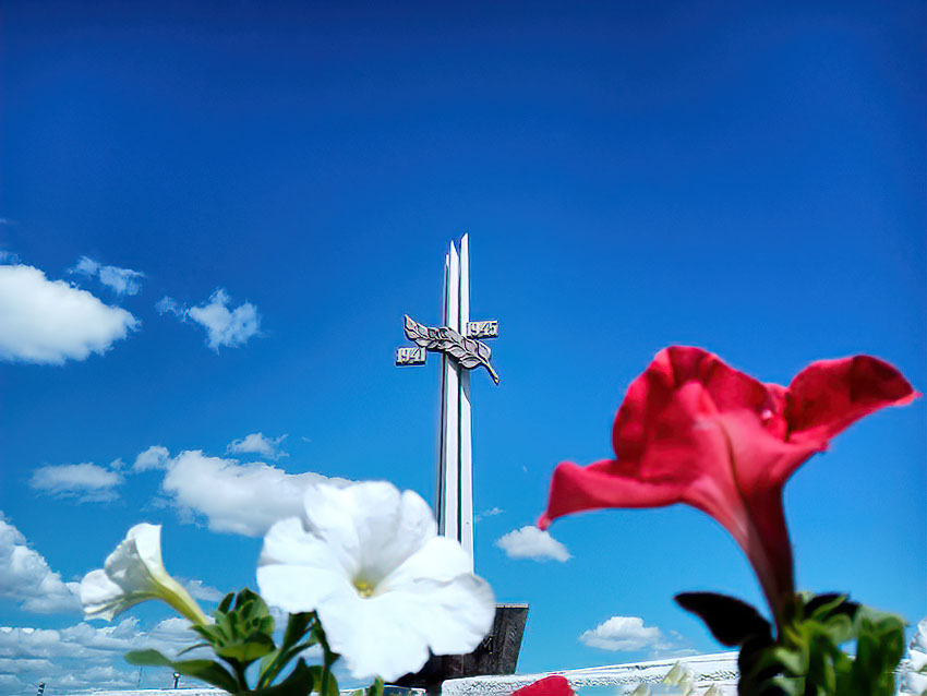 В Камышине памятный знак защитникам города в «мгновение ока» украсили цветники