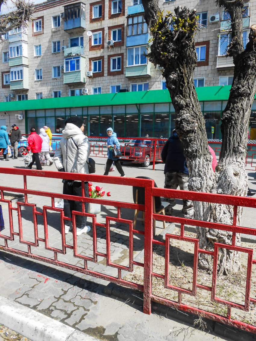 В Камышине везде продают тюльпановые букеты, но дешевых пока нет