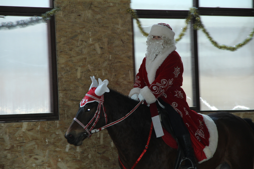 В комплексе «Ратник", который патронирует камышинская полиция, Дед Мороз и Снегурочка выехали к ребятам... на лошадях!