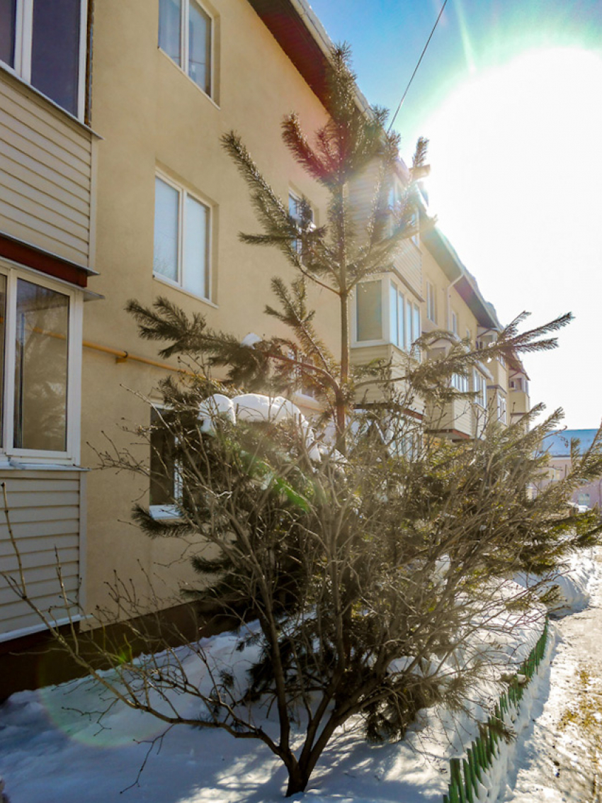 Новые отключения света проводят коммунальшики Камышина сегодня, 18 февраля