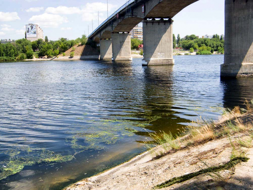 К 40-градусной отметке подбираются столбики термометров в Камышине 28 июля