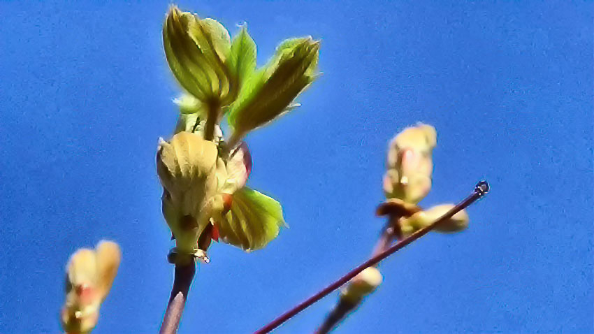 Камышин накрыл дождевой фронт 22 апреля