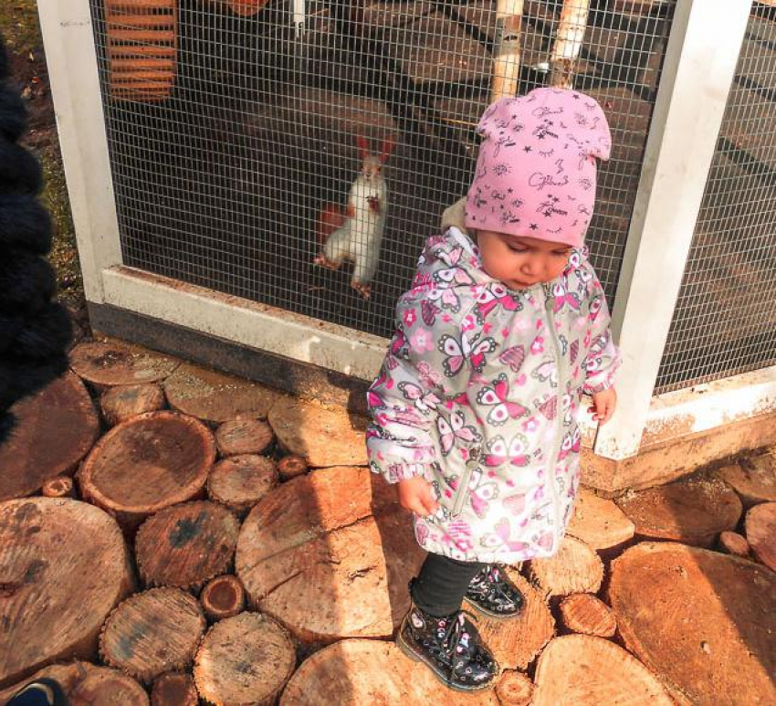 Камышанам выплачивают региональный материнский капитал - на какого по счету ребенка, и какую сумму?