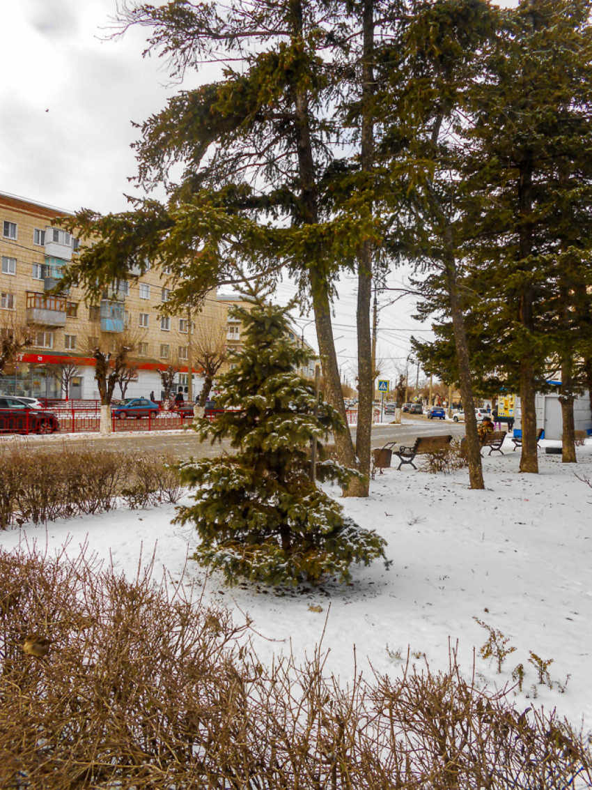 "Молодые люди пускали салют: с лёгкостью их можно найти по камерам «Пятерочки» и наказать", - камышанка