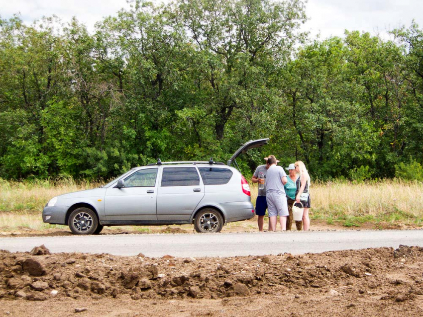 В леса камышан не пустят под угрозой штрафа как минимум пол-августа