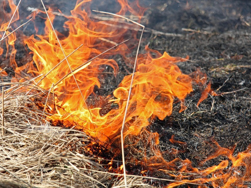 В Камышине степной пожар спалил часть кладбища
