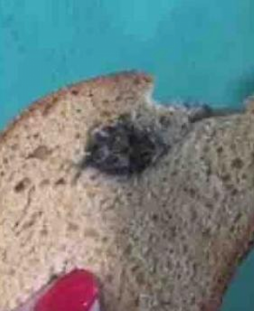 Самым читаемым сюжетом последних дней стал «блокбастер» в камышинских соцсетях о мыши, которая оказалась «начинкой» хлеба (ВИДЕО)