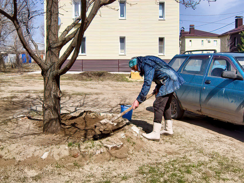 В Камышине 4 апреля ожидается свежий день из-за переменчивого ветра