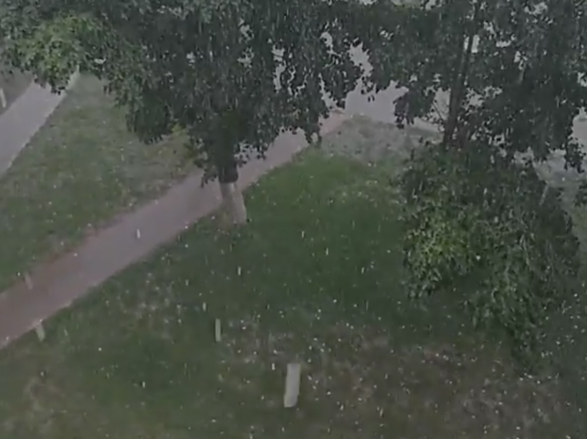 Сорванный шифер и поваленные деревья: последствия шторма разгребают 18 июля в Михайловке (ВИДЕО)