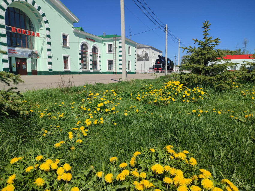 Камышанам-путешественникам неожиданно повезло: они могут уехать в Санкт-Петербург напрямую из Петрова Вала