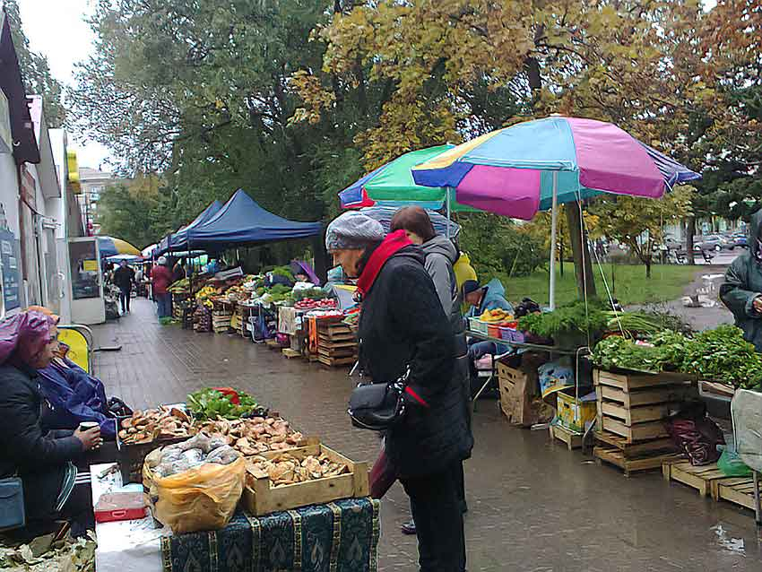 В Волгоградской области, несмотря на непогоду, резко снизилась заболеваемость COVID-19