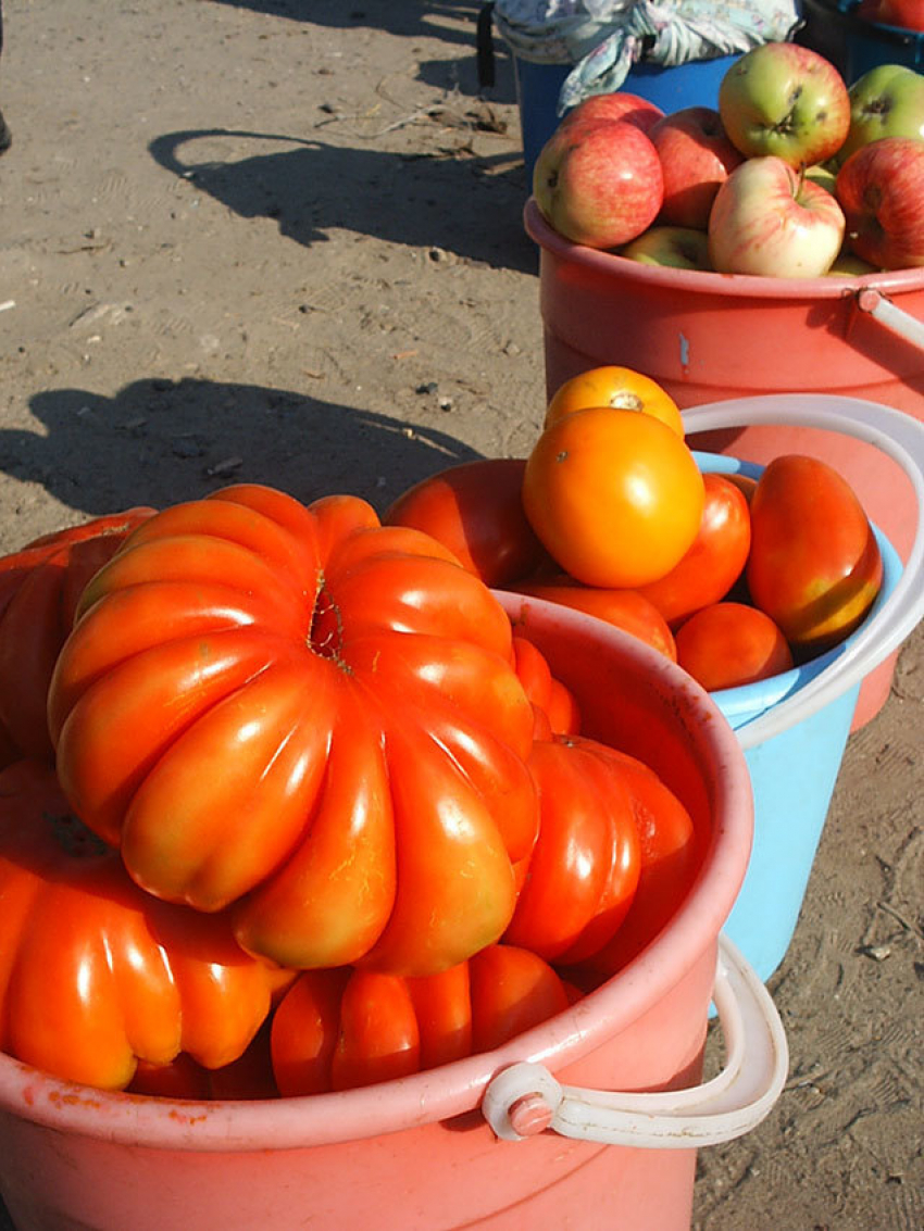 Администрация Камышна обнародовала городские площадки, где можно продавать овощи и фрукты