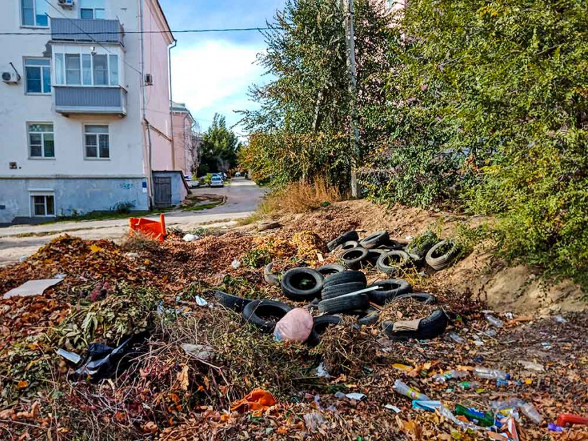 Жителям Волгоградской области рассказали, что будет с тарифами на вывоз мусора при смене регоператора, - «Блокнот Волгограда"