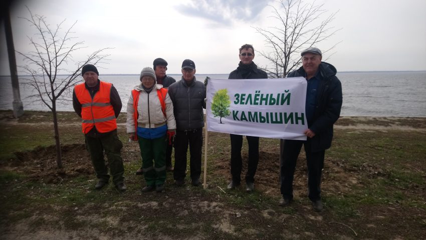 В Камышине чернобыльцы посадили аллею тополей и лип в шестом микрорайоне в память о трагических событиях