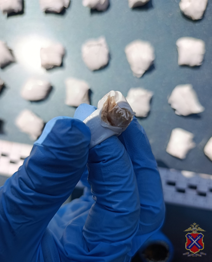 В Камышине полицейские задержали подозреваемого в покушении на сбыт крупной партии наркотика 