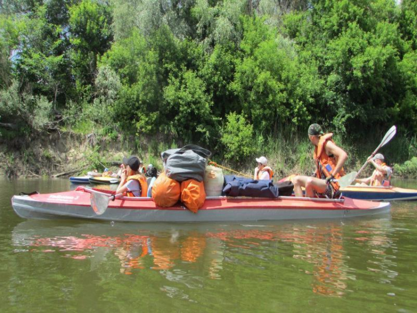 Туристы – водники из Камышина спасли Зимородка во время похода по реке Медведица