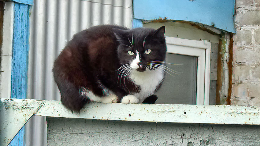 В Камышине сегодня, 7 декабря, будет тепло и солнечно