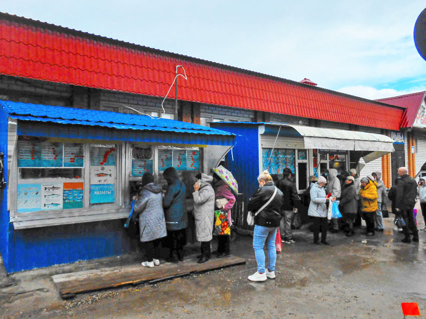 Чем грозит отключение интернета, объяснил волгоградский экономист, - «Блокнот Волгограда"