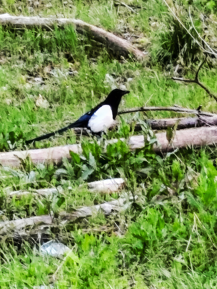 Украинские беспилотники атаковали соседний с Камышинским - Ольховский район сегодня, 30 апреля