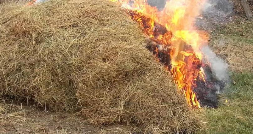 В Камышинском районе сгорел стог сена, никто не пострадал