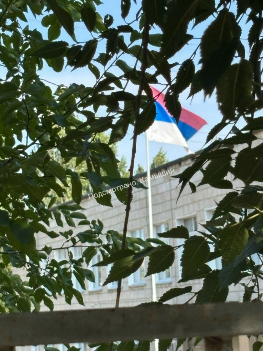 Пользователи соцсетей обнаружили триколор на здании школы в Камышине, укрепленный «вверх ногами"
