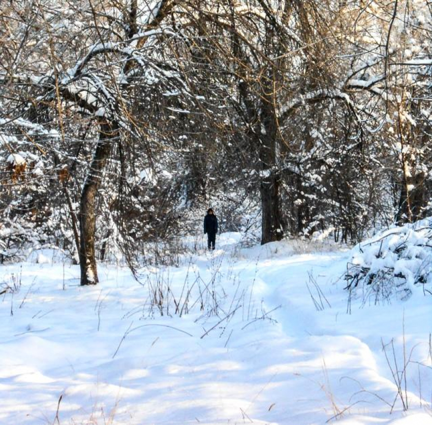 Экстренное предупреждение из-за волны арктического холода объявлено в Волгоградской области