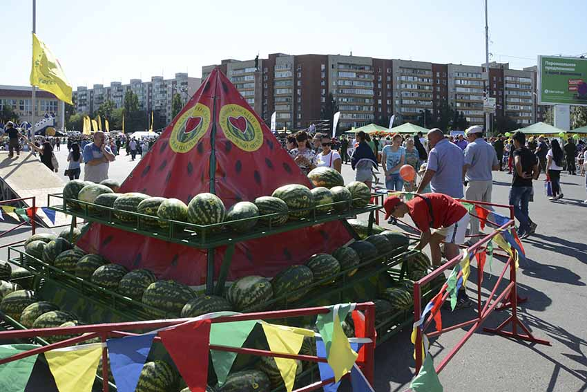 Зачем камышинские арбузы срочно «выезжают» в Калужскую область