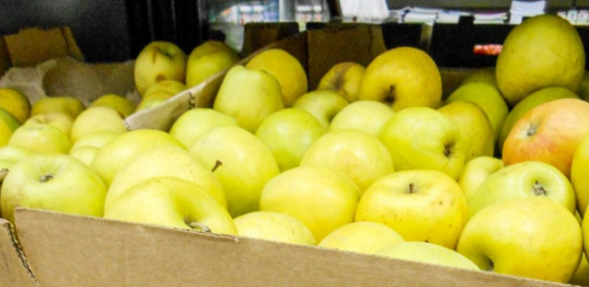 Сегодня, 2 ноября, известный волгоградский  «яблочный король» станет участником телешоу на ЦТ