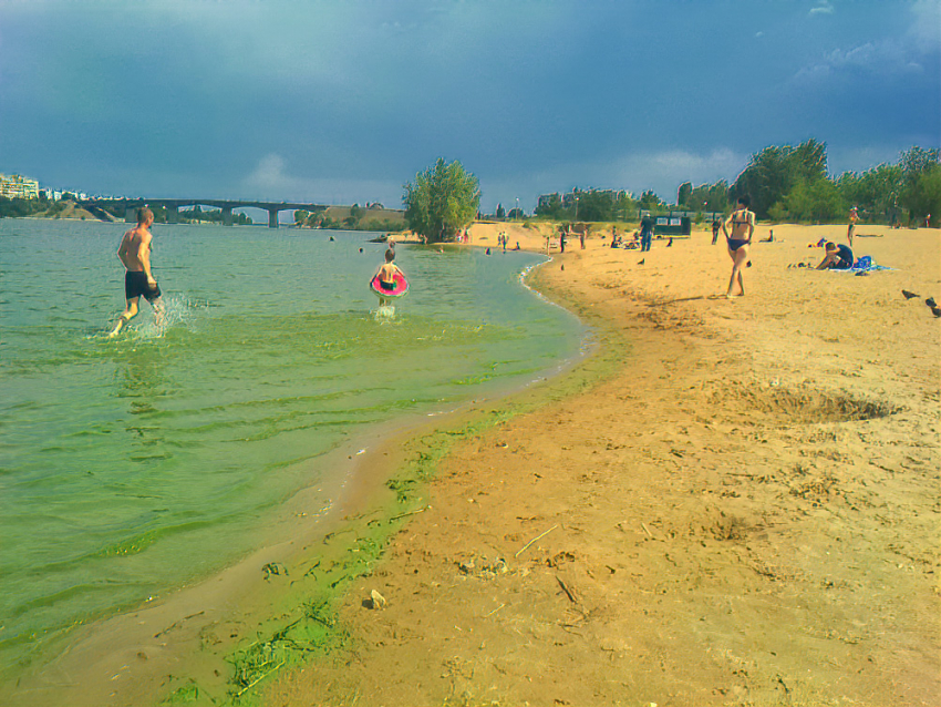 На исходе лета Роспотребнадзор проинформировал купальщиков, что пляжи Волгоградской области кишат паразитами