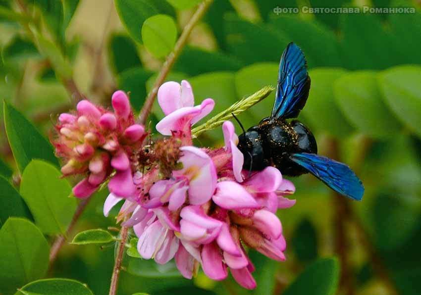 В Камышине посвежеет до +26-ти