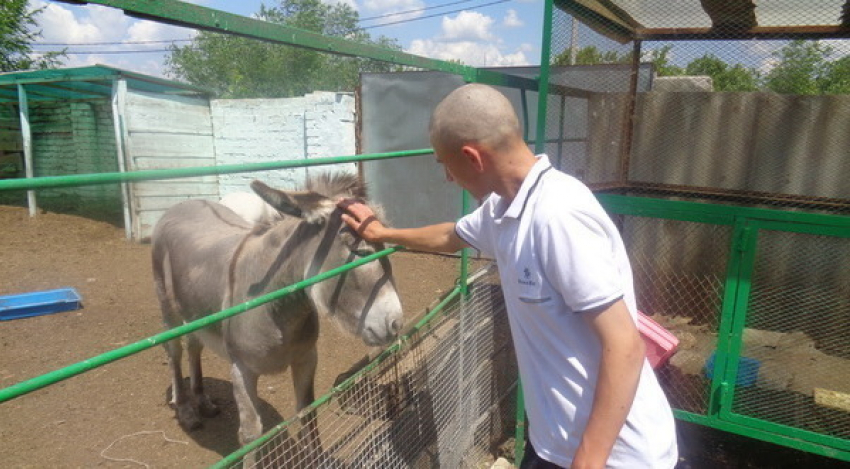 Воспитанники Камышинской  ВК посетили мини-зоопарк
