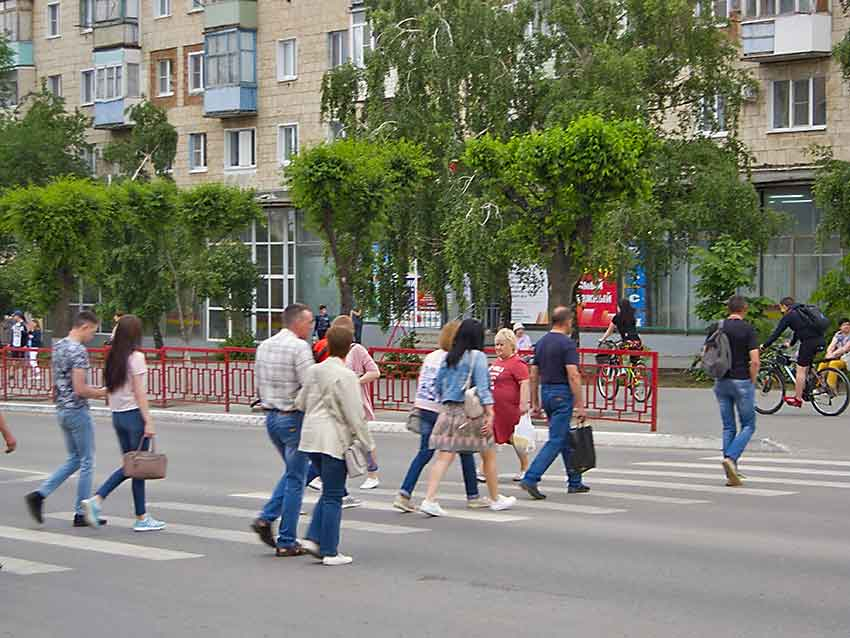 Администрация Камышина показала, сколько получают руководители структур, учрежденных мэрией