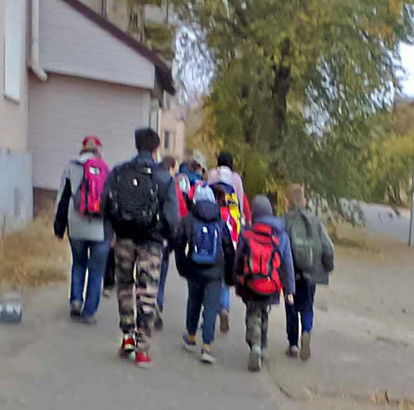Школы и вузы Волгоградской области готовят к уходу на удалёнку, - «Блокнот Волгограда"