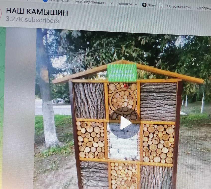 В Камышине в городском парке открыли «отель» для божьих коровок