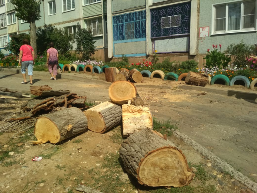 Не прошло и года, как в  Камышине на 3-м городке решили убрать уродливые «столбы» спиленных тополей