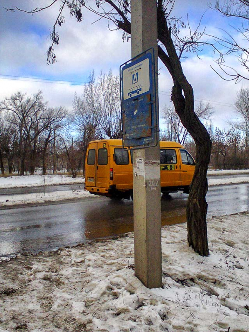 После реплик «Блокнота Камышина» автобусную остановку все-таки очистили от сухой ветки на аншлаге