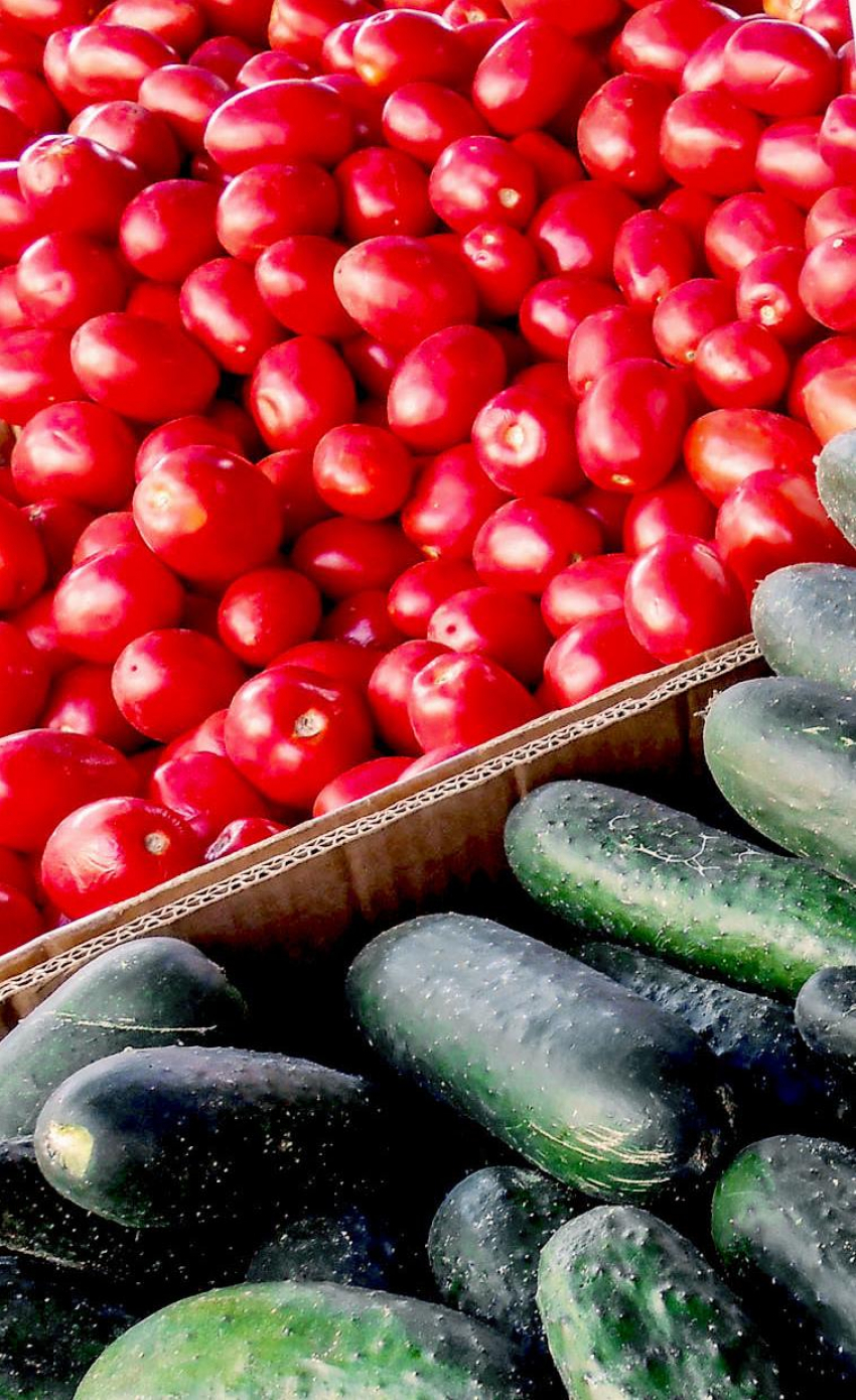 В Волгоградской области взметнулись в цене яйца, помидоры и огурцы 