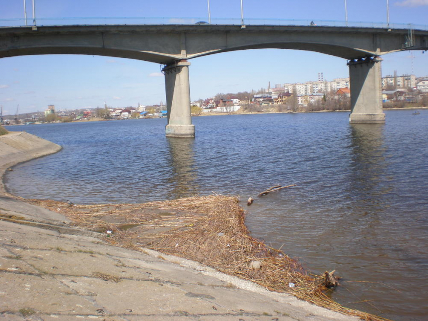 Волжская ГЭС сворачивает темпы сброса воды, и отмели на Камышинке должны исчезнуть 