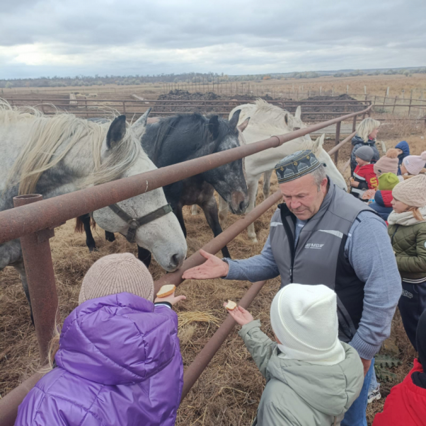 Как городские школьники из Камышина съездили в гости к фермеру