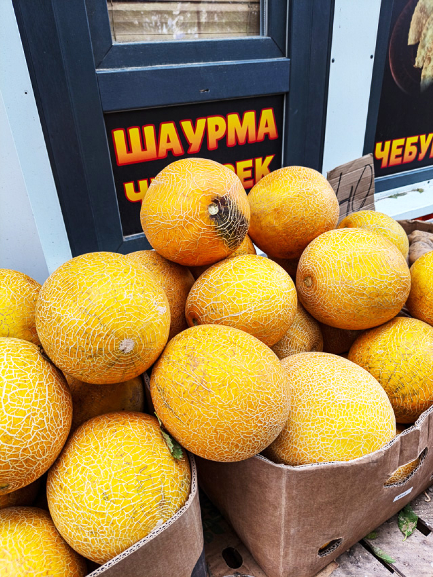 В Камышине на рынке у «Победы» начали продавать дыни по 100 рублей за кило