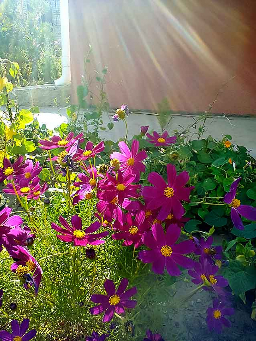 Камышанам предстоят комфортные солнечные выходные