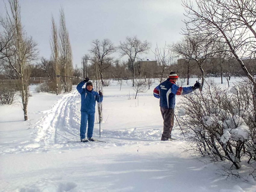 Камышане проложили лыжни в парке «Текстильщик"