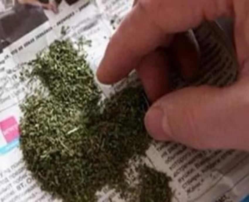 В Камышине в разных частях города за день арестовали двоих торговцев марихуаной