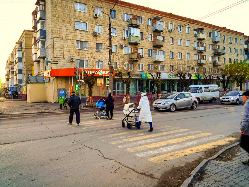 В Камышине в День матери глава города воспел в виновницах торжества преданность, в спикер гордумы - стойкость