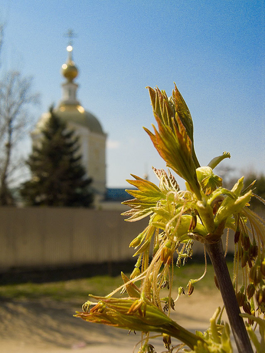 27-28 апреля в Никольском соборе Камышина можно будет освятить куличи