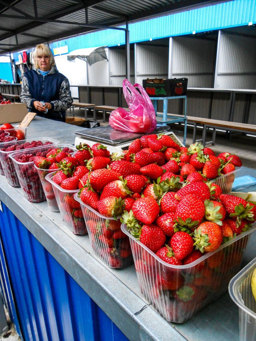 Камышинские умельцы презентовали землякам октябрьский урожай местной клубники