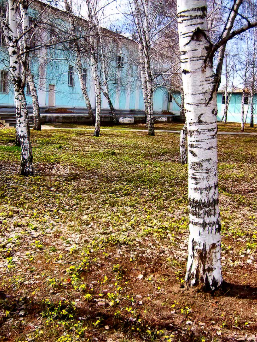 Жару пообещали волгоградские метеорологи камышанам уже в начале наступающей недели