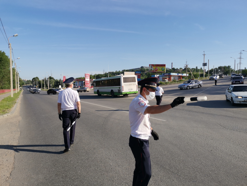В Камышине сотрудники ГИБДД не выходят из рейдов, чтобы оздоровить ситуацию на дорогах